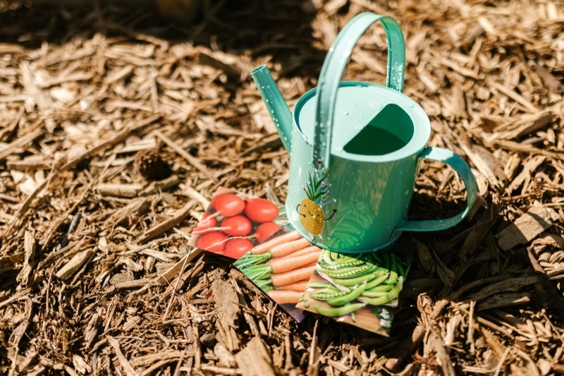 3 Seed packets with a watering can